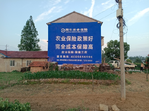  玉环墙体广告为何受追捧？